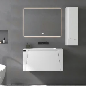 signia 801